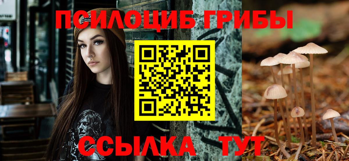 Галлюциногенные грибы Psilocybe  где купить   Сунжа  Вход с VPN 