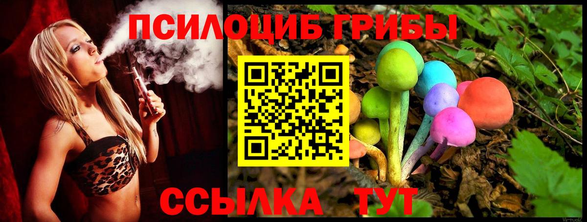 Галлюциногенные грибы прущие грибы Сунжа
